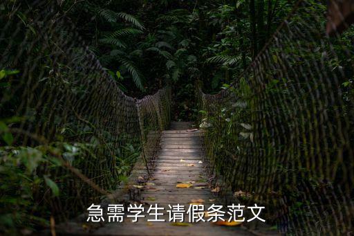 學生請假條范文，請假條示范