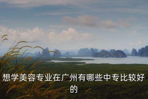 想學美容專業在廣州有哪些中專比較好的