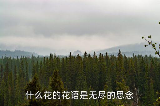 什么花的花語是無盡的思念