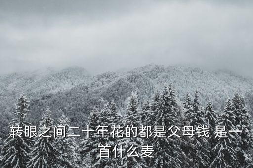轉(zhuǎn)眼二十年，轉(zhuǎn)眼之間二十年花的都是父母錢 是一首什么麥