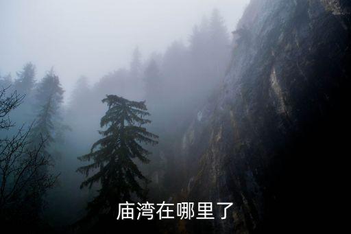 廟灣，府谷縣廟灣的具體位置