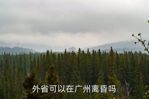 外省可以在廣州離昏嗎