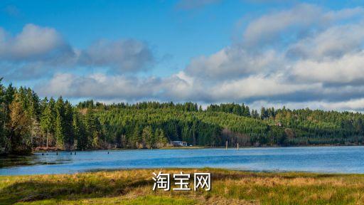 淘寶跑包，淘寶 3虛擬物品閃電發(fā)貨賣家怎么申請