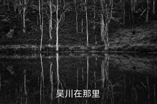 吳川感染者在廣州活動軌跡，吳川在那里