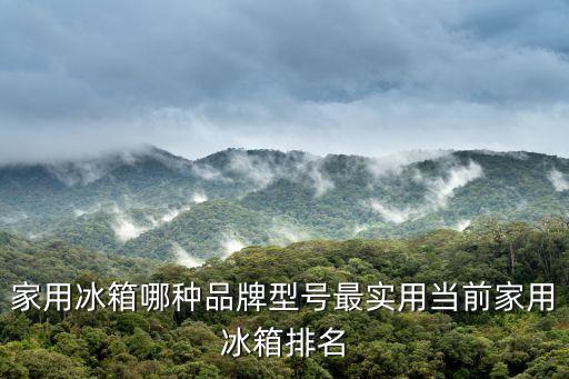 冰箱十大排名，家用冰箱哪種品牌型號最實用當(dāng)前家用冰箱排名