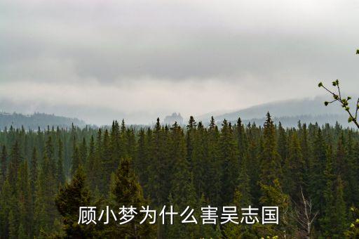 顧小夢，風聲傳奇 中顧小夢的扮演者是誰