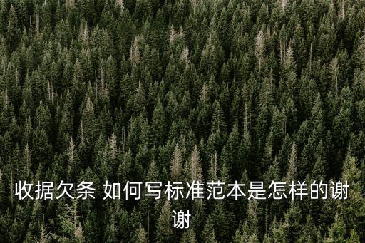 收據(jù)欠條 如何寫(xiě)標(biāo)準(zhǔn)范本是怎樣的謝謝