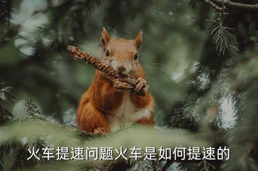 火車提速問題火車是如何提速的
