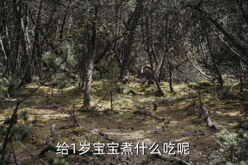 給1歲寶寶煮什么吃呢