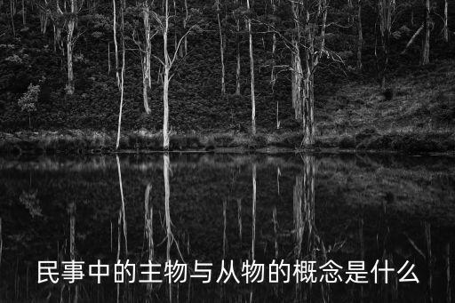 主物和從物，民事中的主物與從物的概念是什么