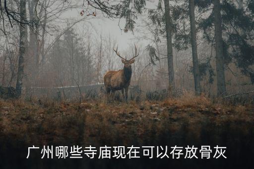 廣州海幢寺骨灰樓，廣州市骨灰寄存點(diǎn)最好是哪一間骨灰樓和寺廟