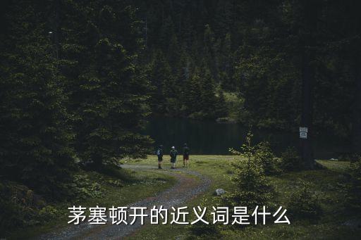 茅塞頓開的近義詞是什么