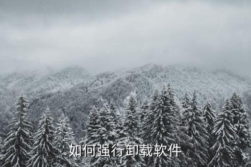 強制卸載，軟件卸載問題怎么強制卸載它高手指教