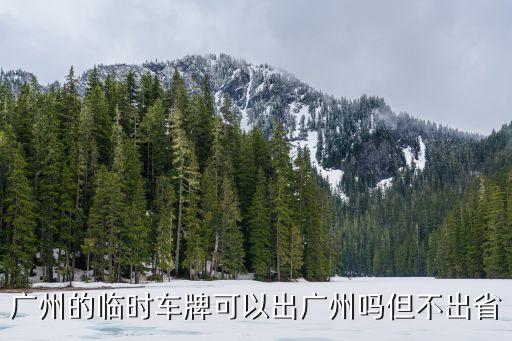 廣州車能離穗嗎，廣州的臨時車牌可以出廣州嗎但不出省