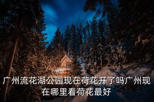 廣州流花湖公園現在荷花開了嗎廣州現在哪里看荷花最好