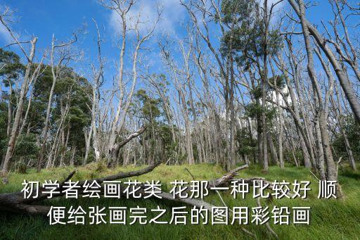 彩鉛花卉，初學者繪畫花類 花那一種比較好 順便給張畫完之后的圖用彩鉛畫