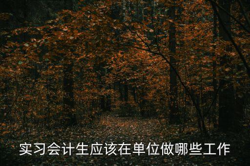 財務實習生，第一次去財務公司實習應該注意些什么問題