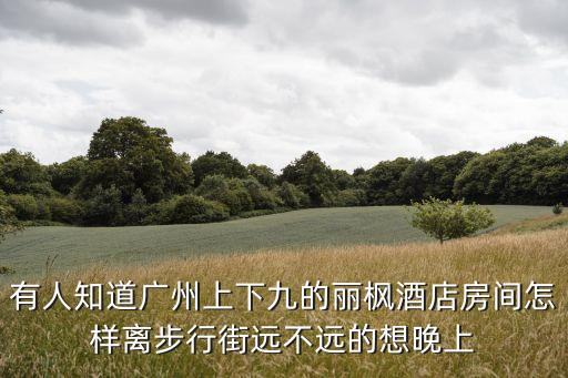 有人知道廣州上下九的麗楓酒店房間怎樣離步行街遠不遠的想晚上