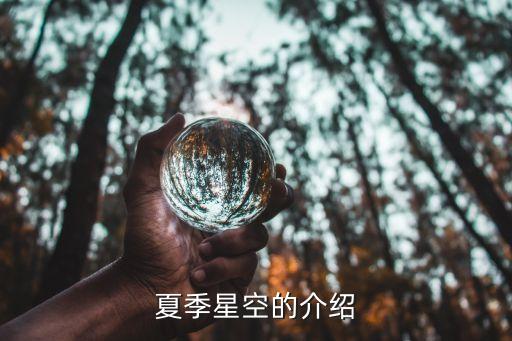 夏季星空，給我一張 觀測夏季星空記錄