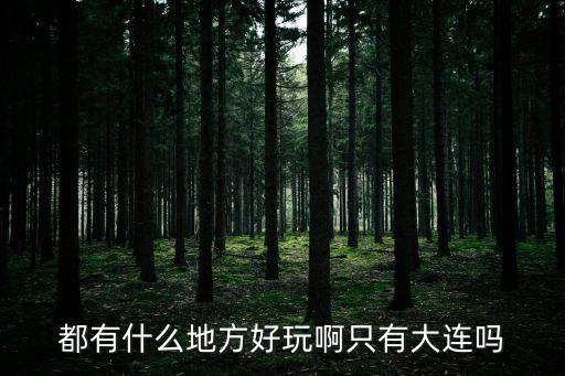 遼寧省旅游景點(diǎn)，大連好玩的地方都有那些啊