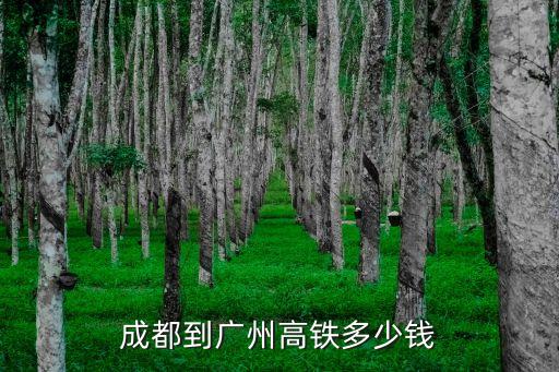其他城市到廣州高鐵票價(jià)，上海到廣州的高鐵票價(jià)