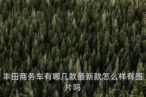 廣州豐田商務車圖片大全，廣汽豐田漢蘭達本人喜歡7座同9座或商務車