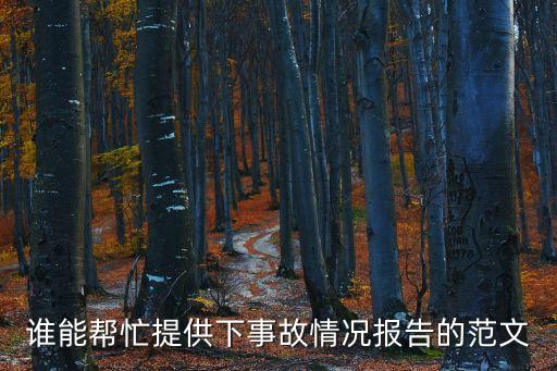 情況報告范文，一般工作情況匯報怎么寫