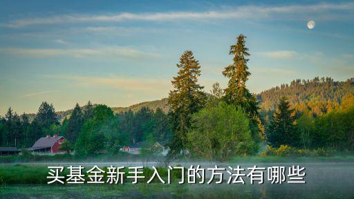 基金入門，基金 怎么入門想弄基金