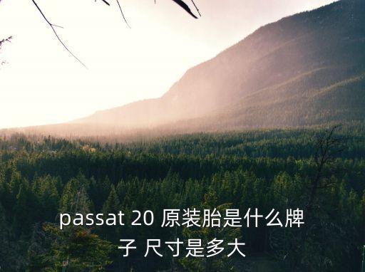 passat 20 原裝胎是什么牌子 尺寸是多大