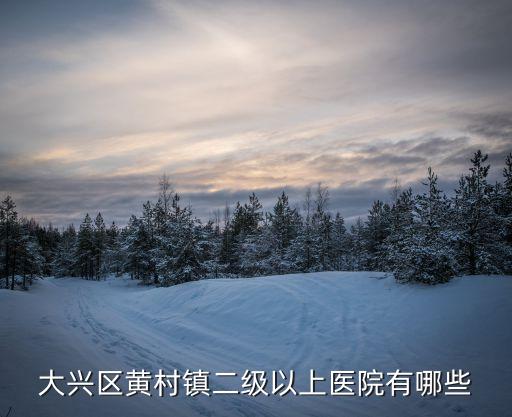 二級(jí)以上醫(yī)院，大興區(qū)黃村鎮(zhèn)二級(jí)以上醫(yī)院有哪些