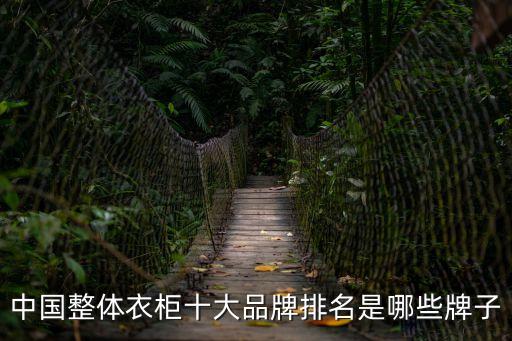 十大整體衣柜，2010最新整體衣柜十大品牌