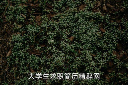 大學(xué)生求職簡(jiǎn)歷模板，求大學(xué)畢業(yè)生個(gè)人簡(jiǎn)歷樣本
