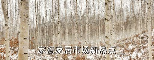 廣州青花瓷碟子，高手幫我看看這個配置兼容性和性比價本人菜鳥請說詳