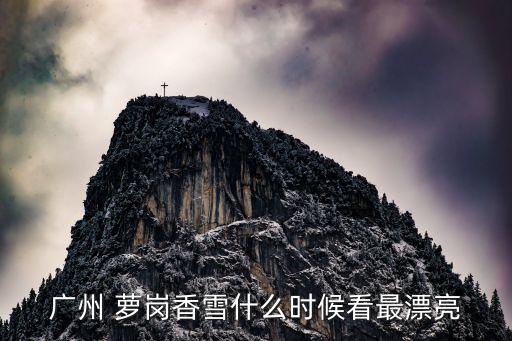 廣州 蘿崗香雪什么時(shí)候看最漂亮