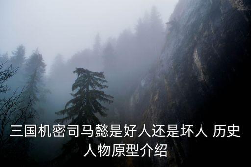 三國司馬懿簡介，三國機密司馬懿是好人還是壞人 歷史人物原型介紹