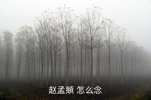 趙孟頫 怎么念