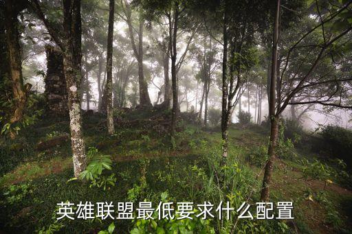 英雄聯盟最低配置，LOL最低要什么樣的配置才能玩 簡單說下