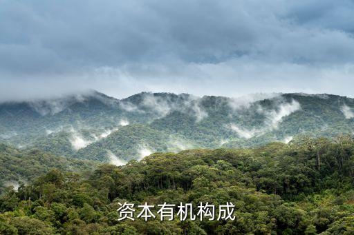 有機構成，有機物由什么構成從微觀方面即原子分子離子等粒子還有
