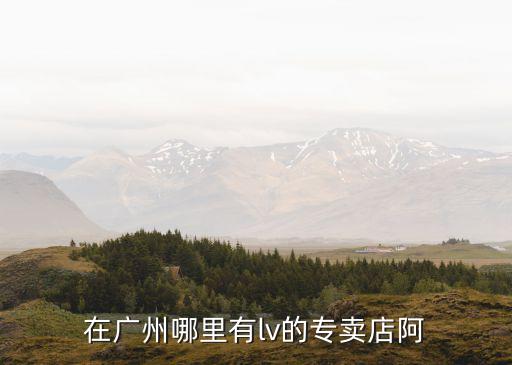 在廣州哪里有lv的專賣店阿