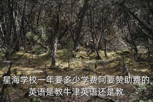 星海學(xué)校一年要多少學(xué)費(fèi)阿要贊助費(fèi)的英語是教牛津英語還是教