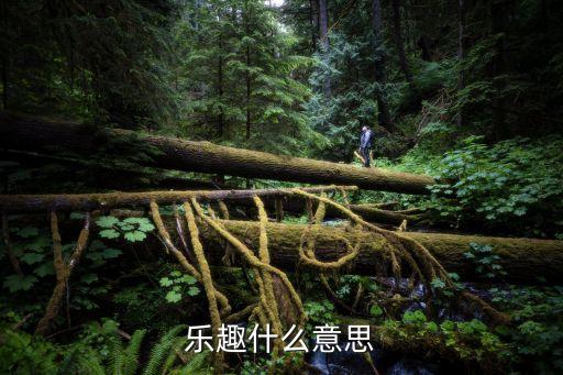 樂趣是什么意思，樂趣的意思