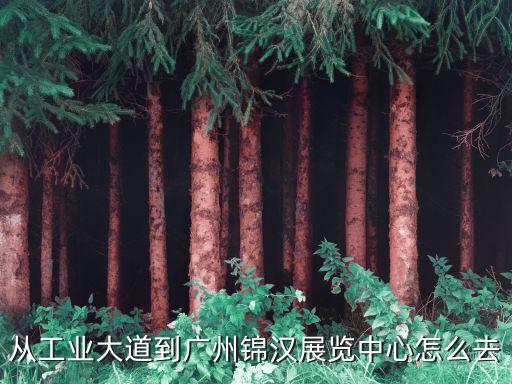 廣州站技術交流會，公司要搞個技術交流會人很多的我們廣州哪家拍大型會議合影 拍 的好啊