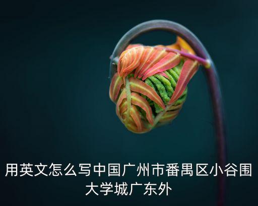 用英文怎么寫中國廣州市番禺區小谷圍大學城廣東外