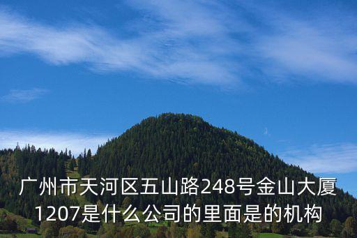 廣州市天河區五山路248號金山大廈1207是什么公司的里面是的機構