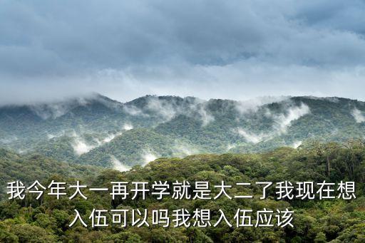 大學生征兵，大學去當兵如何