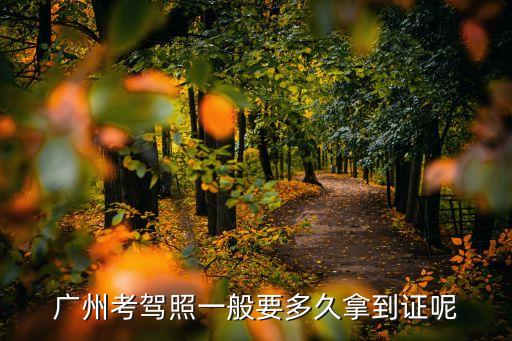 廣州駕駛證考過了多久拿證，廣東駕照考過多久可以領證