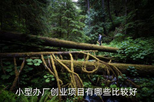 小型投資辦廠，在家創業的好項目 小本辦廠項目有哪些