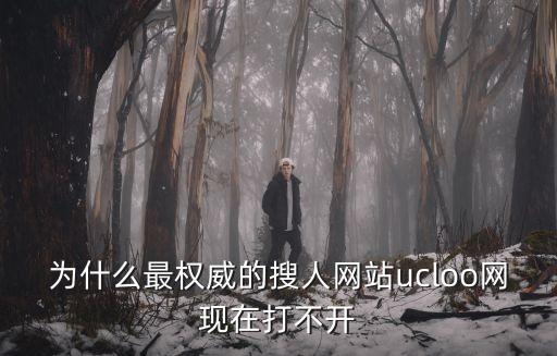 為什么最權威的搜人網站ucloo網現在打不開