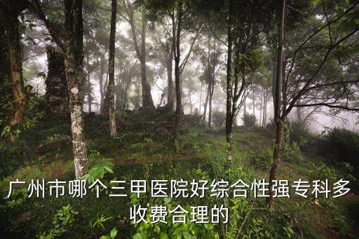 廣州三甲醫(yī)院特色排名，廣州最好三甲醫(yī)院到底是哪家呢求大家?guī)蛶臀?/></a></span><span id=