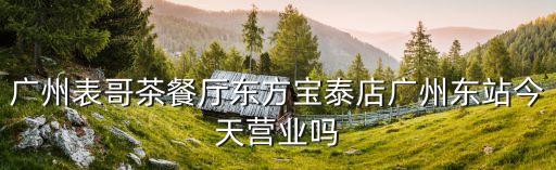 廣州表哥茶餐廳東方寶泰店廣州東站今天營業嗎
